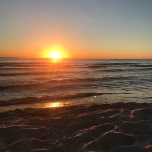 Meet your Posher, Elise